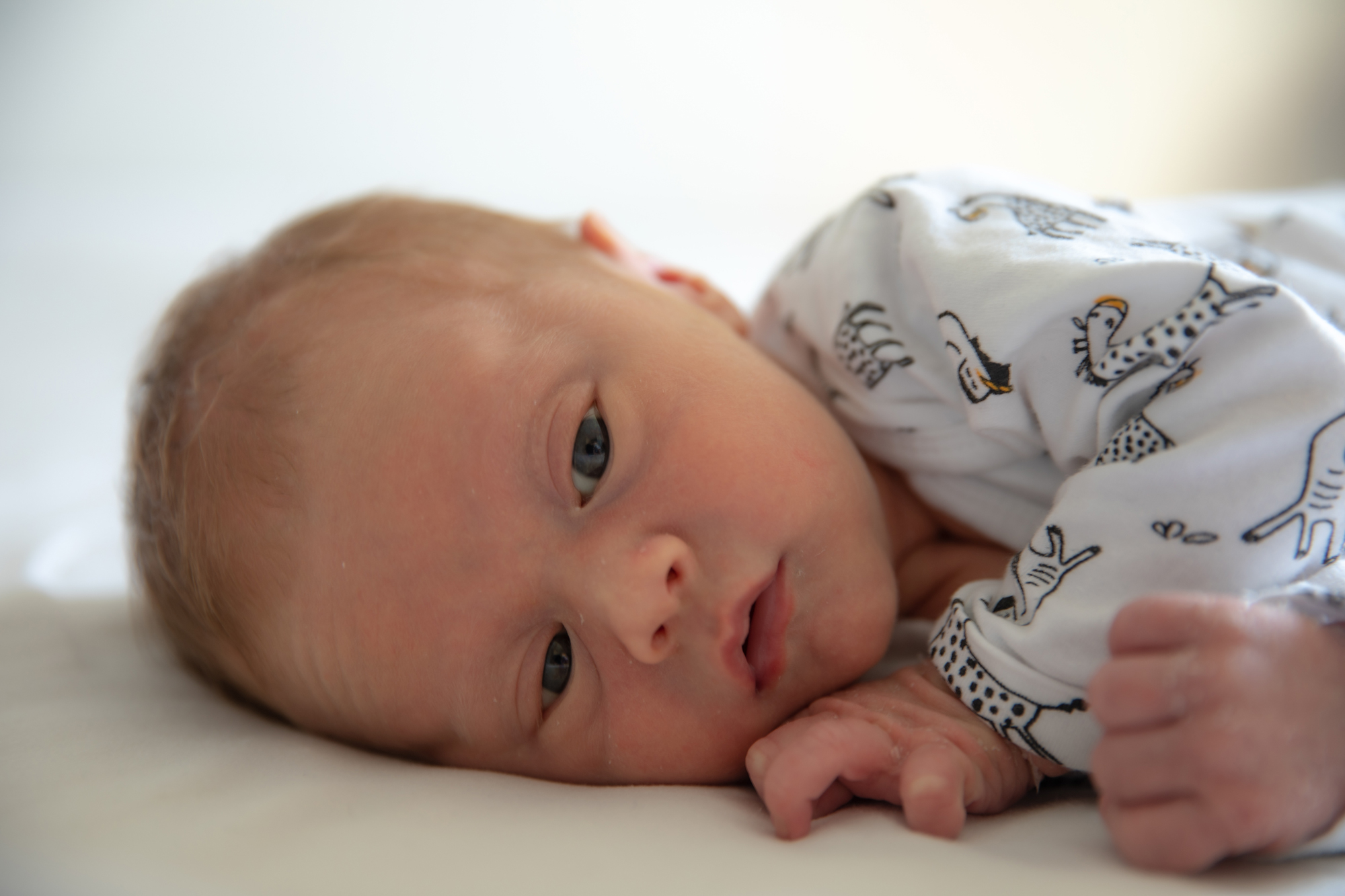 Gezinsfoto, gezinsfotografie of gezinsreportage, baby foto, newborn foto of newborn shoot
